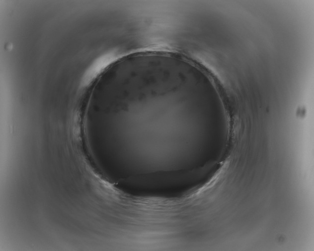 X0000097001455200802081433