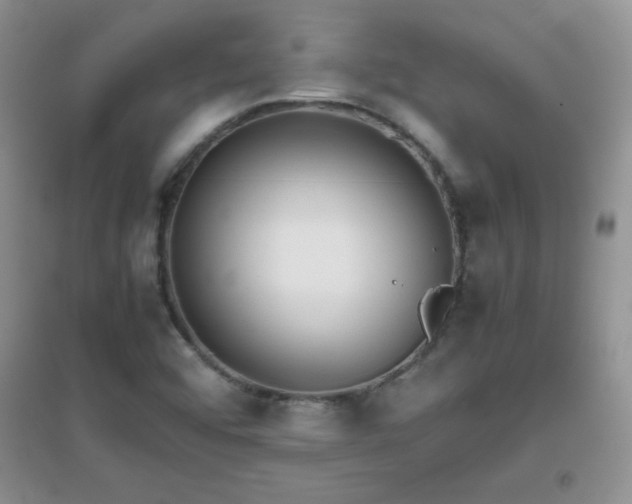 X0000097001456200802081433