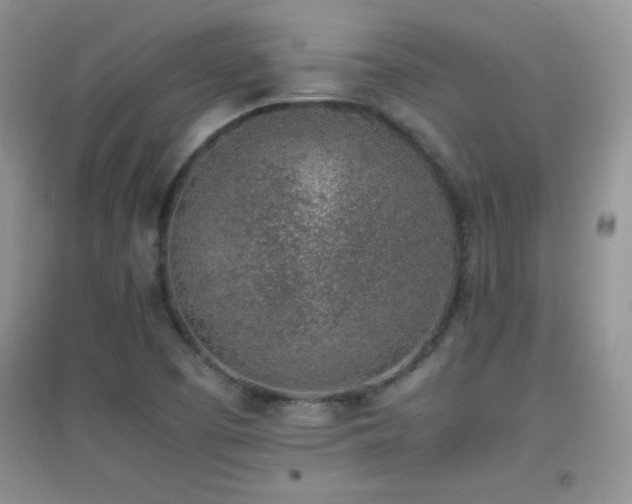 X0000097001457200802081433