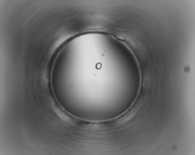 X0000097001458200802081433
