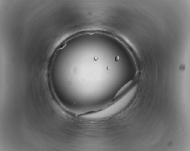X0000097001460200802081433
