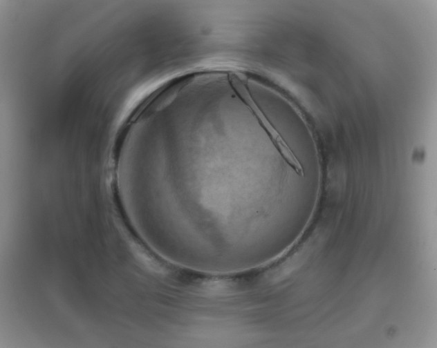 X0000097001461200802081433