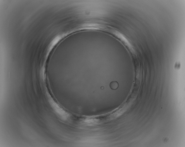 X0000097001466200802081433