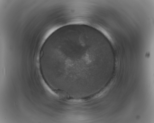 X0000097001468200802081433