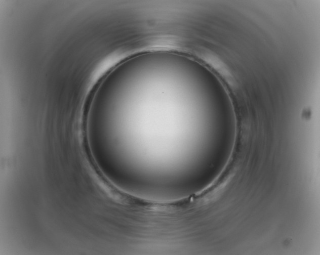 X0000097001469200802081433