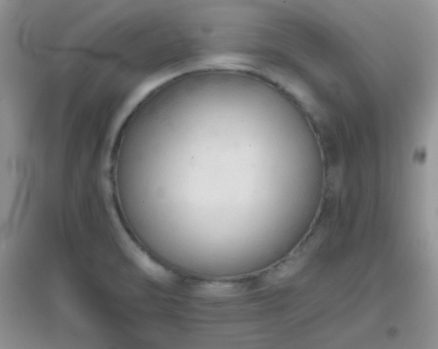 X0000097001470200802081433