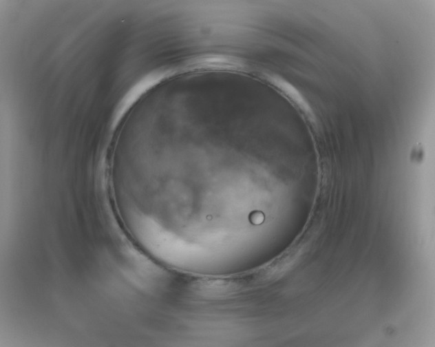 X0000097001474200802081433