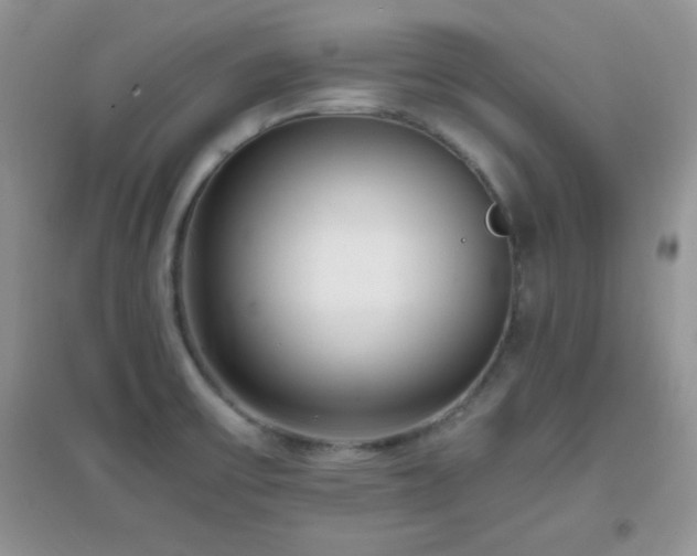 X0000097001475200802081433