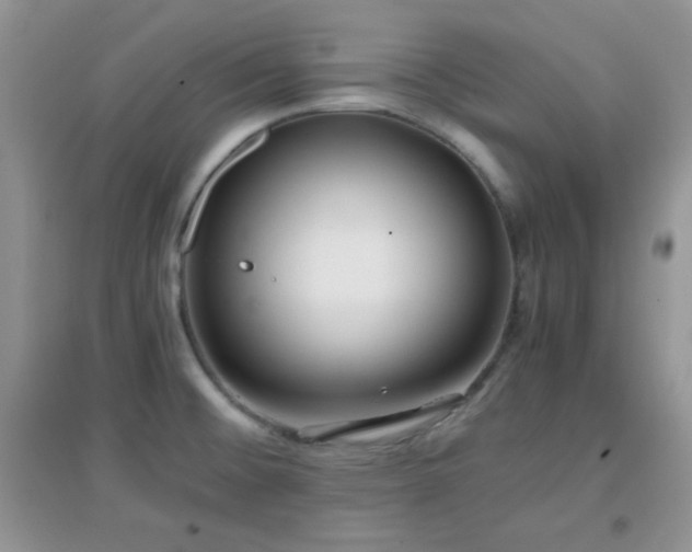 X0000097001476200802081433