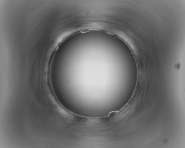 X0000097001477200802081433