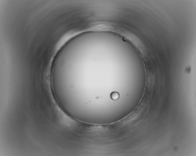 X0000097001478200802081433