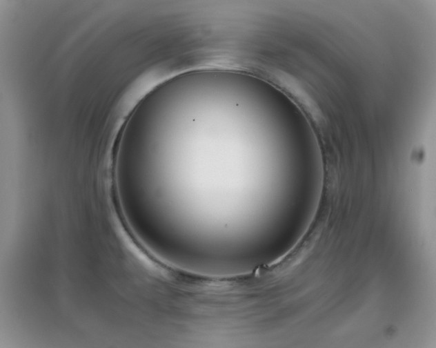 X0000097001479200802081433