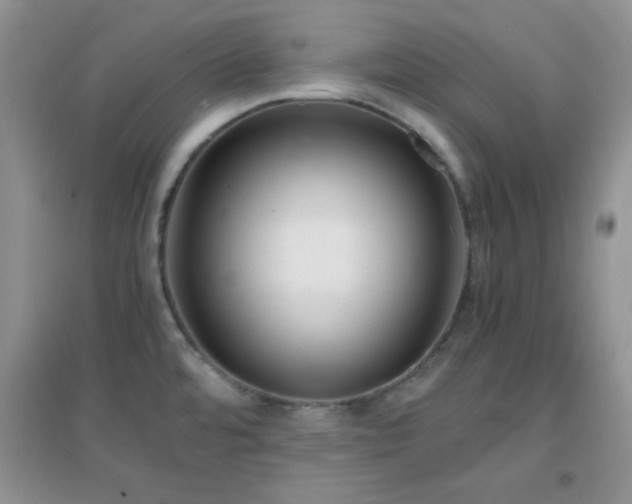X0000097001480200802081433