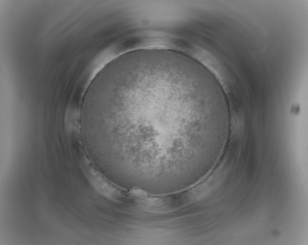 X0000097001481200802081433