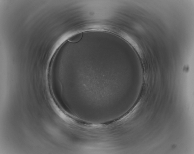 X0000097001482200802081433