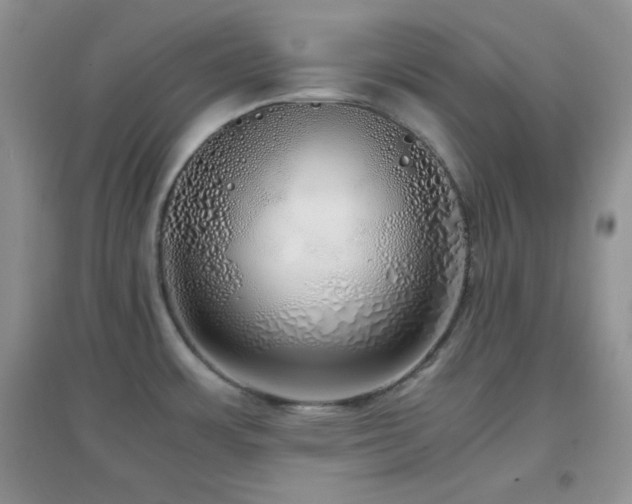 X0000097001483200802081433