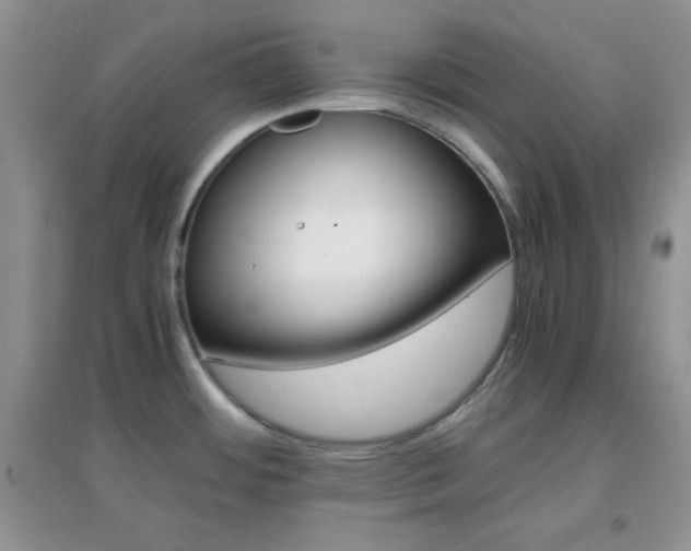 X0000097001484200802081433