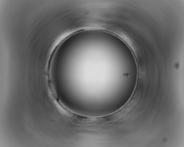 X0000097001485200802081433