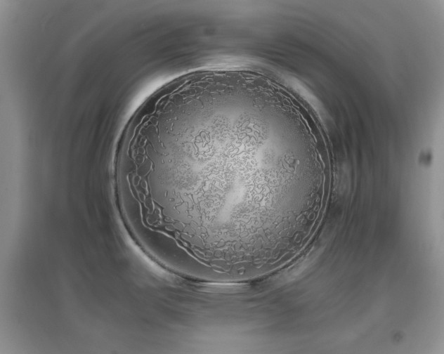 X0000097001487200802081433