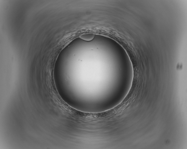 X0000097001489200802081432
