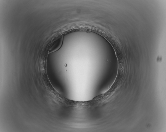 X0000097001490200802081432