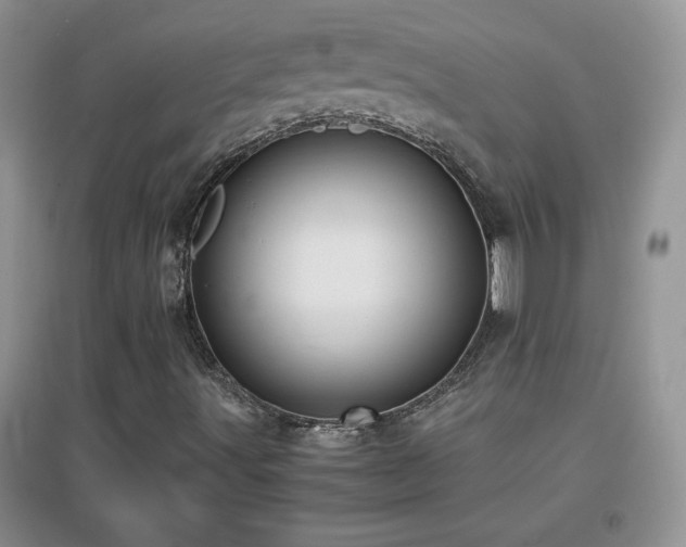 X0000097001491200802081432