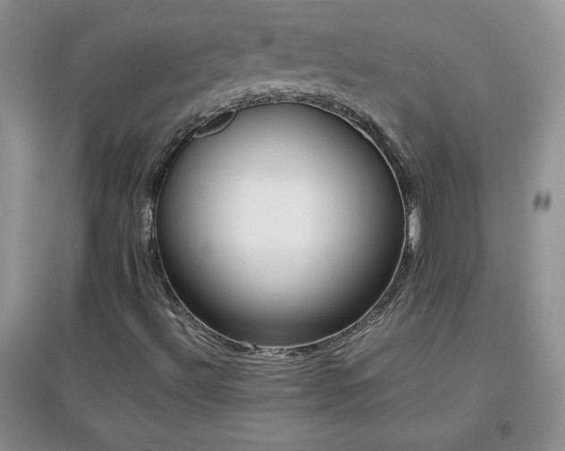 X0000097001492200802081432