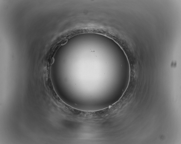 X0000097001493200802081432