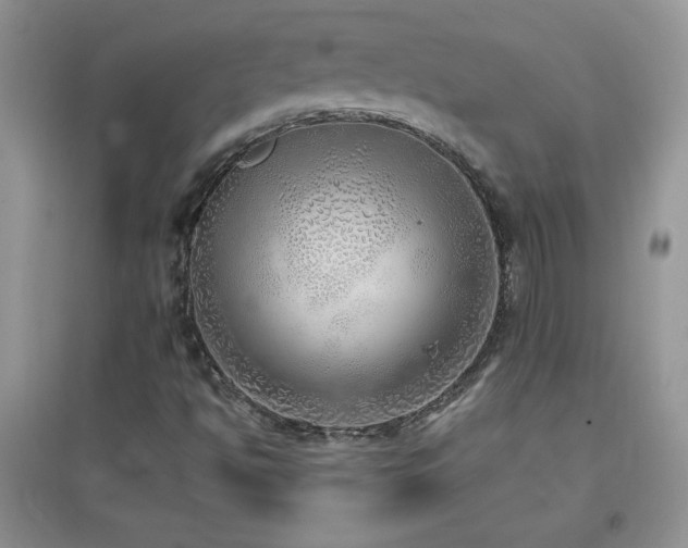 X0000097001494200802081432