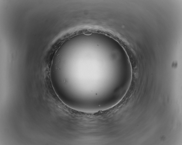 X0000097001495200802081432