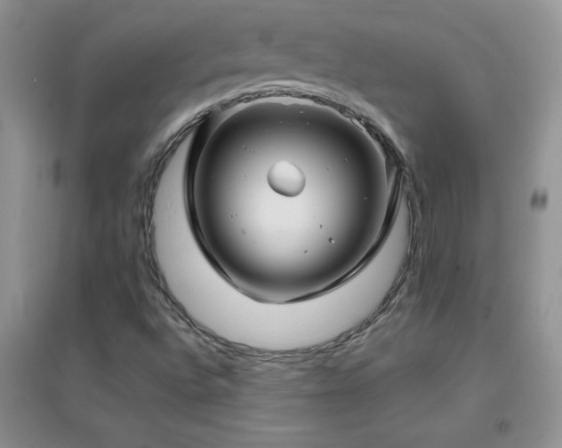 X0000097001496200802081432