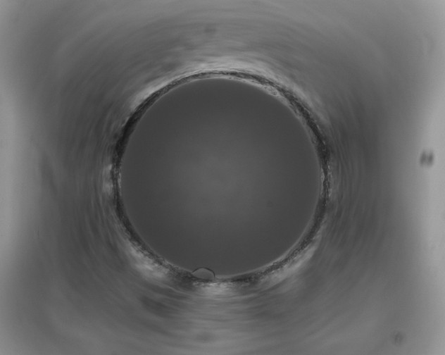 X0000097001497200802081432