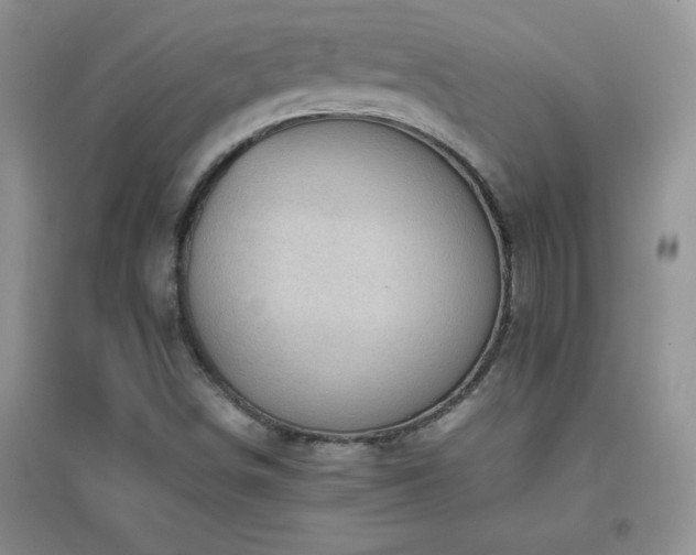 X0000097001498200802081432