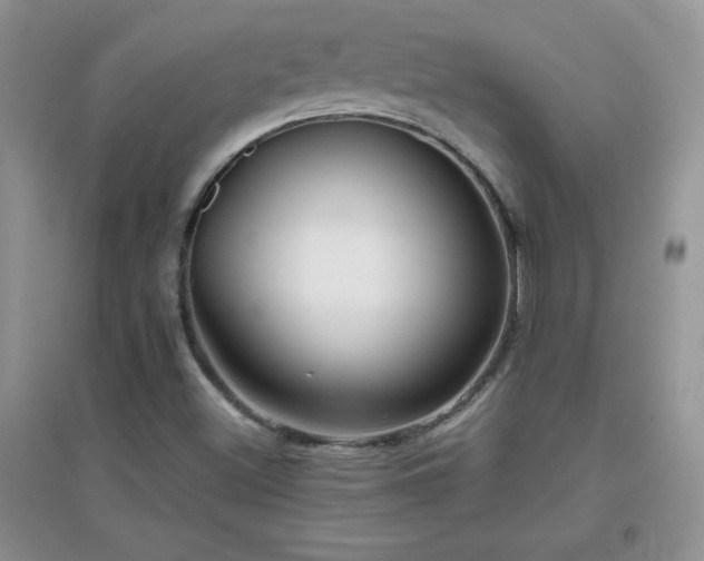 X0000097001500200802081432