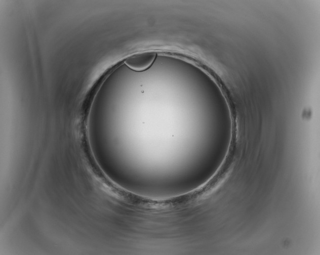 X0000097001501200802081432