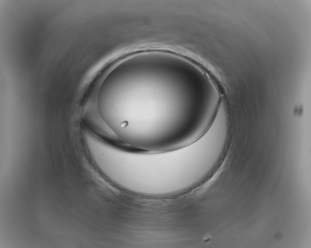 X0000097001502200802081432