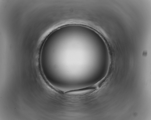 X0000097001504200802081432