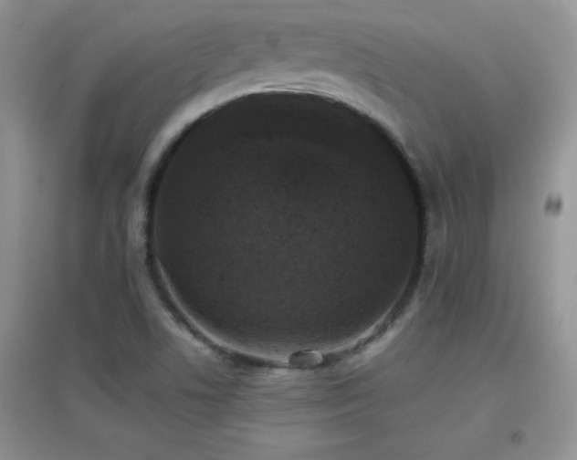 X0000097001506200802081432