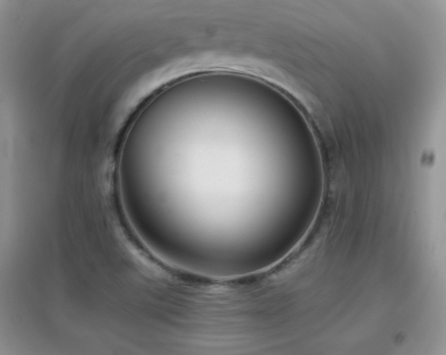 X0000097001507200802081432