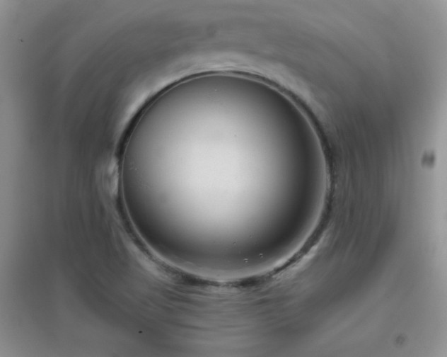 X0000097001509200802081432