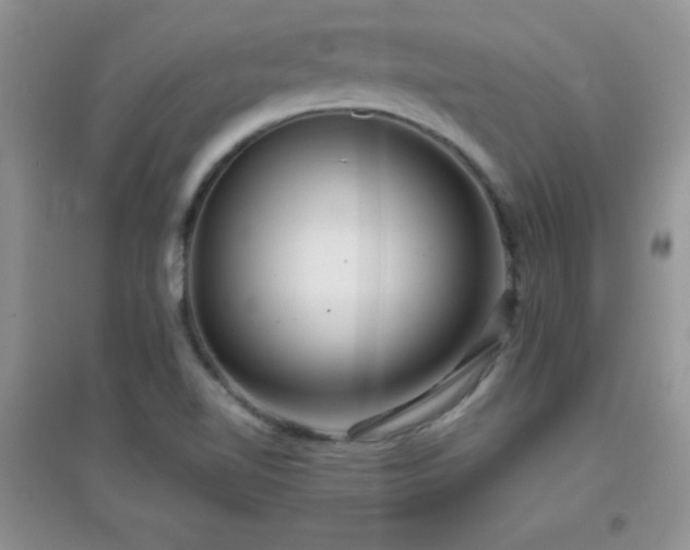 X0000097001510200802081432