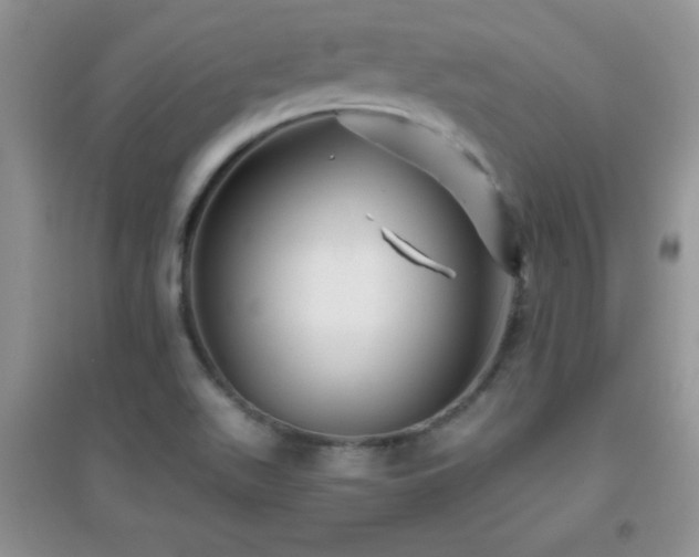 X0000097001511200802081432