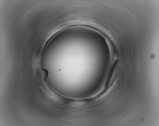 X0000097001513200802081432