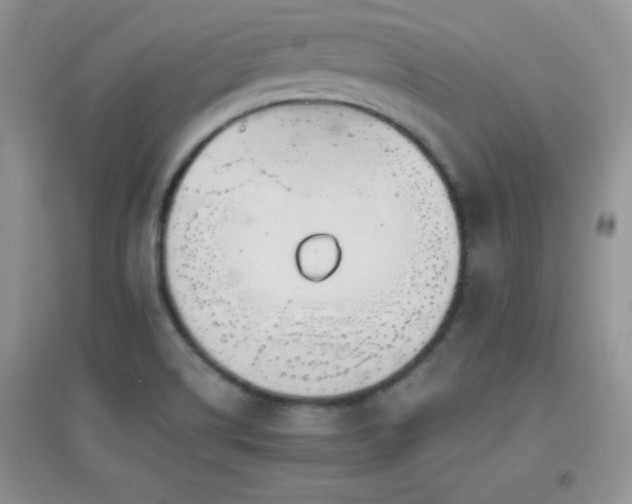 X0000097001514200802081432