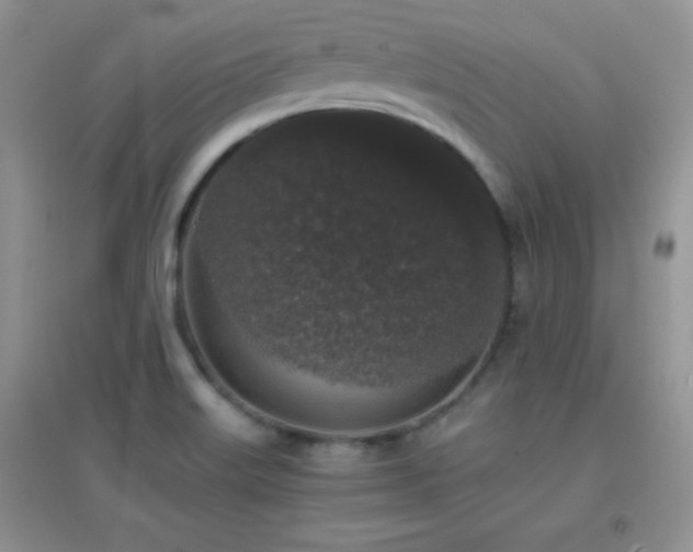 X0000097001515200802081432
