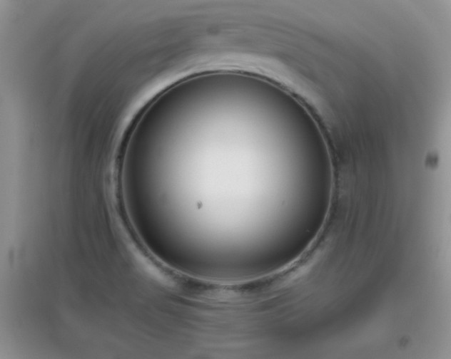 X0000097001517200802081433