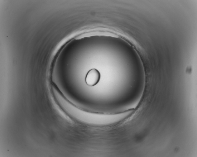 X0000097001518200802081433