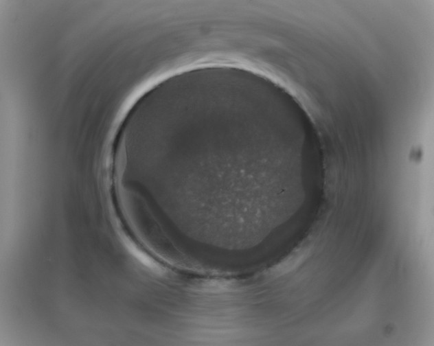 X0000097001519200802081433