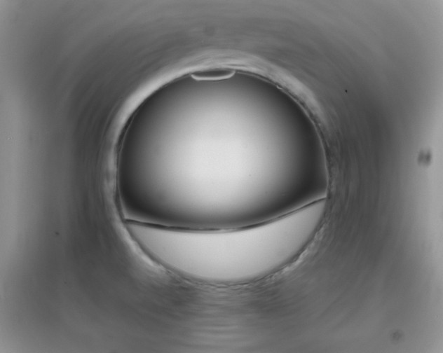 X0000097001520200802081433