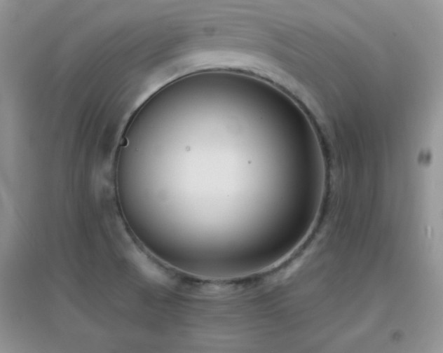 X0000097001521200802081433